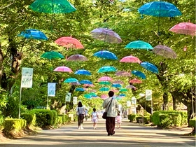 梅雨の那須千本松牧場を200本の傘で彩る「千本松アンブレラウォーク」今年も開催