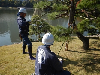 庭師の匠の技！　～都立庭園 伝統技能見学会 開催のご案内～