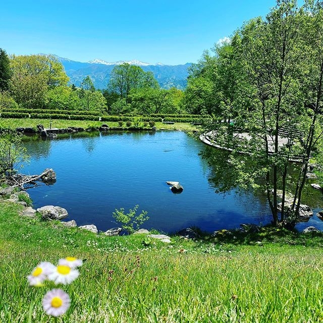 駒ヶ根高原アルプスの丘 家族旅行村