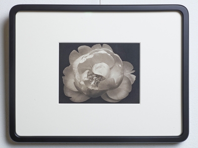 Platinum/Palladium Flowers #245