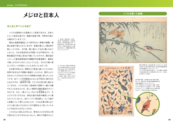 メジロと日本人