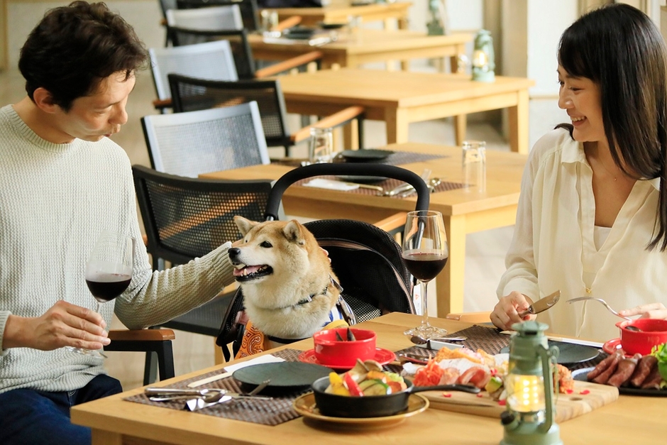 ゆとりろガーデン北軽井沢with DOGS