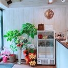 北新地店内観(3)