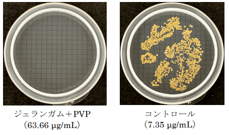 図4　抗菌成分残存濃度における抗菌力評価