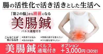 パルス付き美腸鍼