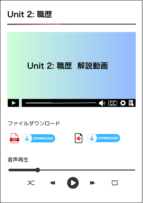 専用動画・音声サイト例