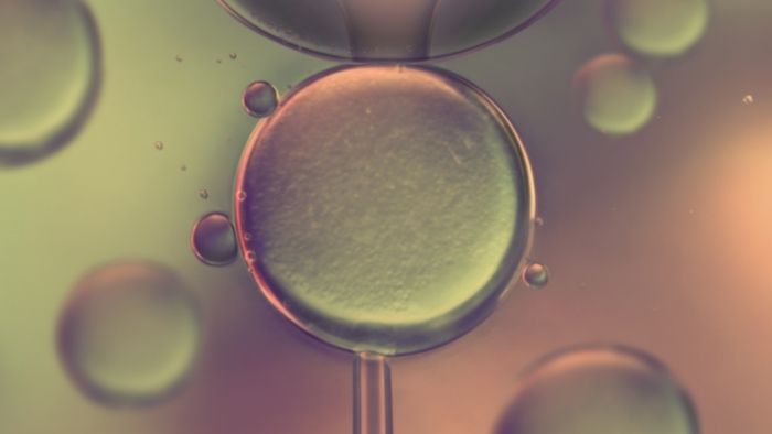 体外診断(IVD)市場規模は2027年に1,024億ドルに達すると予測される