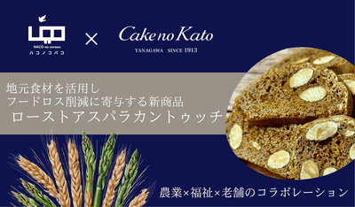 トップ画像
