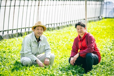 食べる事で食品ロスを無くす、規格外 有機野菜から作った 安心安全な「葉菜ペースト・ピューレー」を販売開始
