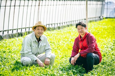 有限会社山口農園