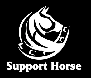 家事代行予約ができるWEBサイトを準備中　 『HouseKeeping by Support Horse』を9月に開設