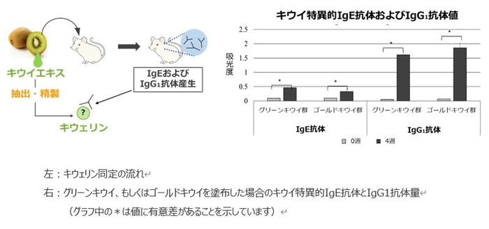 研究詳細