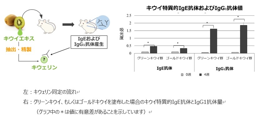 研究詳細