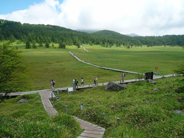 池の平湿原