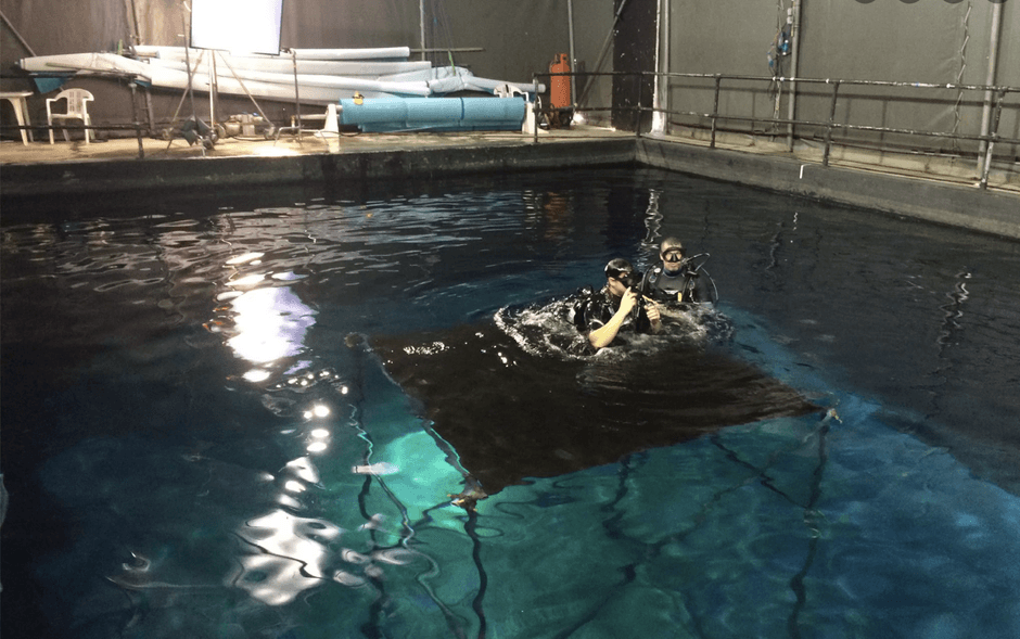 イギリスのエセックス 水中撮影の様子(2)