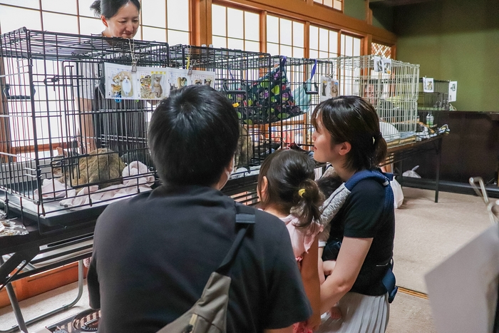 しっぽのしらべの活動の様子