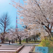 yuran.baek撮影場所：芝公園