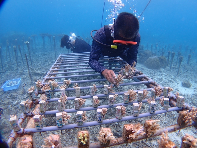 ※画像はイメージです