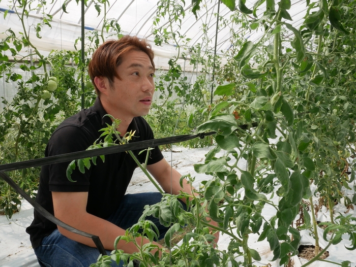 kawabata farm(カワバタファーム)