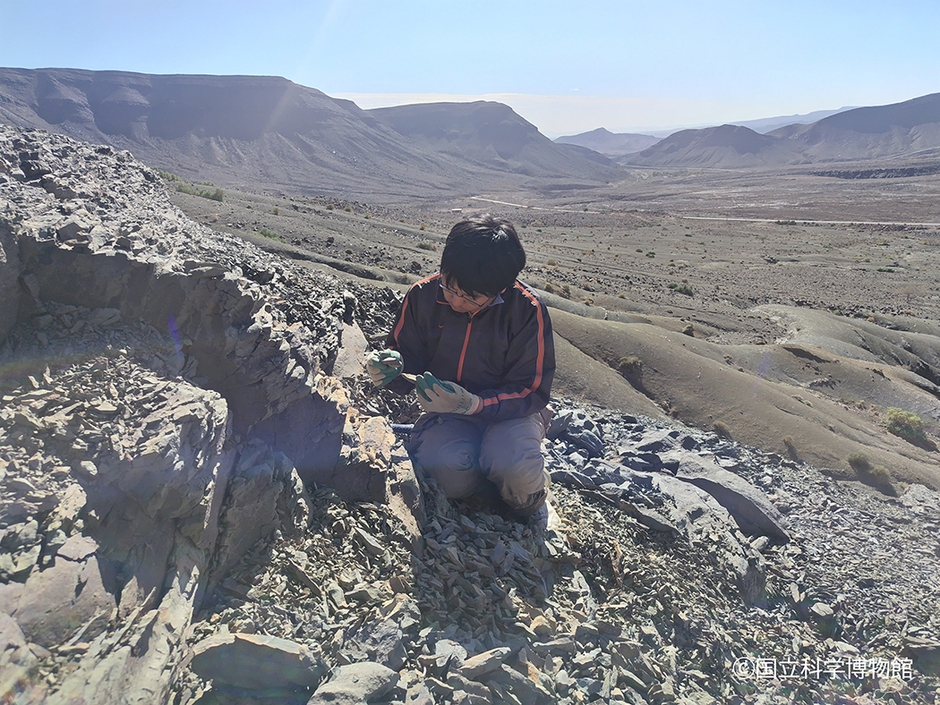 モロッコ発掘調査