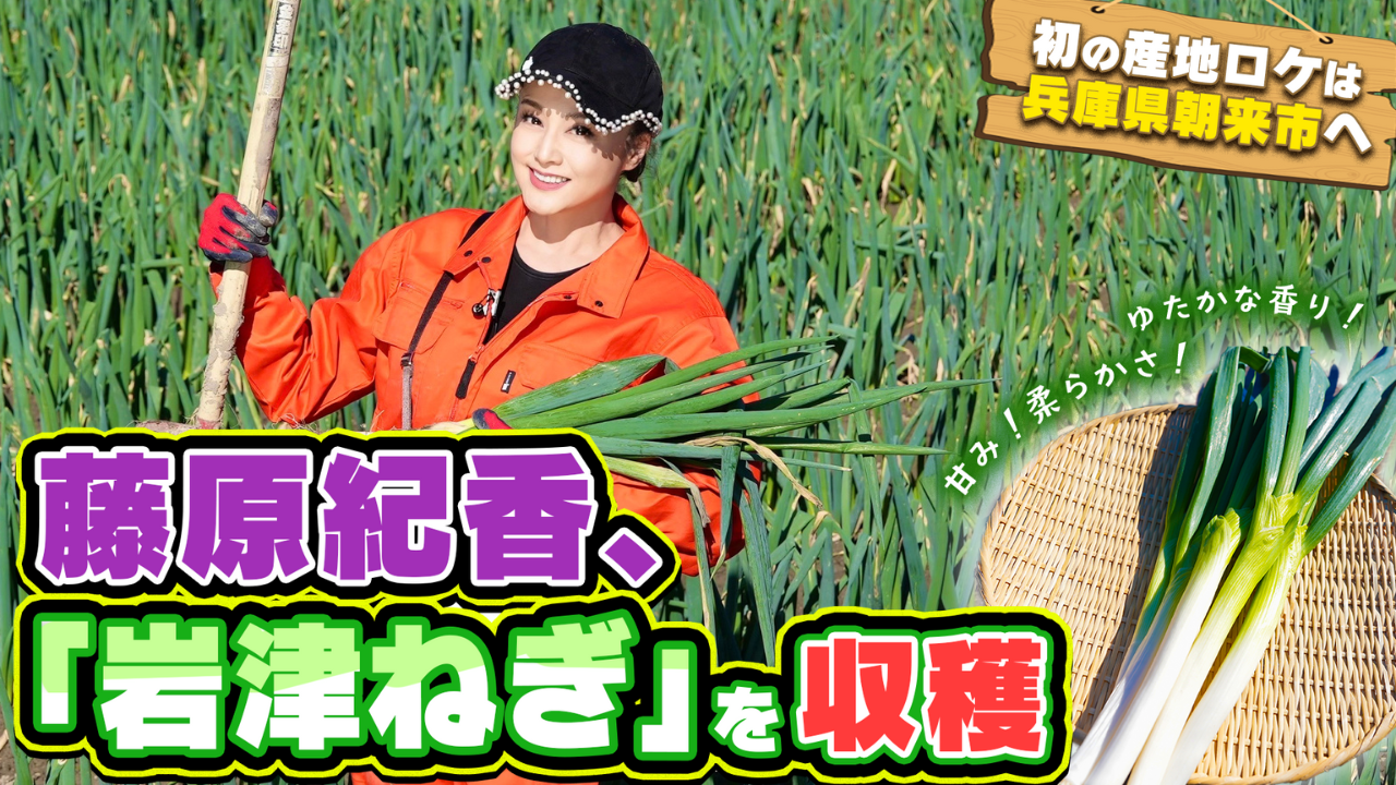 歴史ある但馬の特産品「岩津ねぎ」を藤原紀香が収穫！ 生産者がお