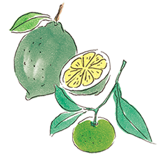 シークヮーサー&ライム イメージ