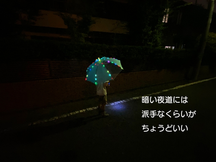 夜道は派手なぐらいで丁度いい