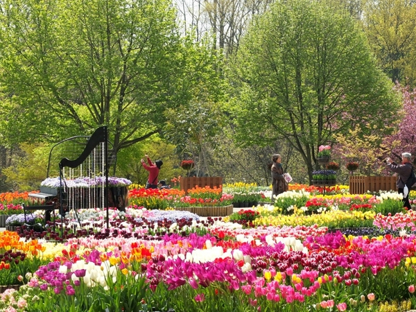 とっとり花回廊