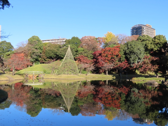 大泉水（11月29日撮影）