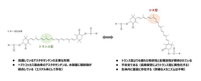 図１： トランス型とシス型アスタキサンチンエステルの化学構造と特徴