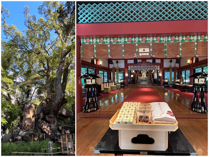 熱海・來宮神社への奉納菓子