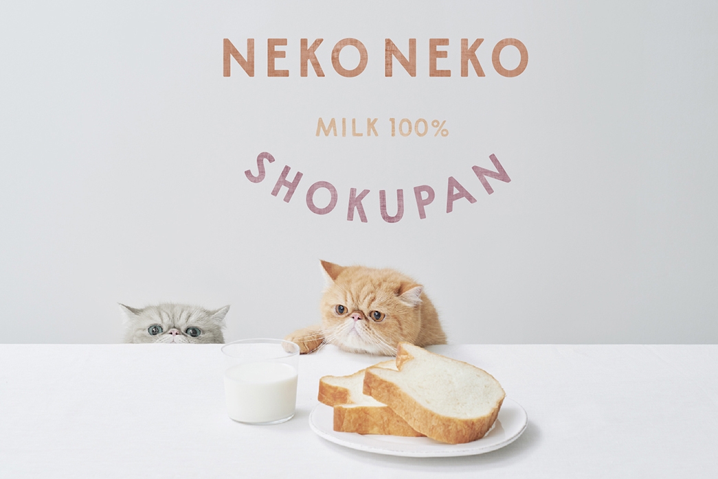 にゃんともおいしい本格派食パン ねこの形の高級食パン専門店 ねこねこ食パン が三重県のイオンモール鈴鹿に新規オープン Newscast