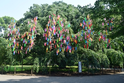 過去の六義園の様子