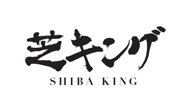 人工芝の芝キング