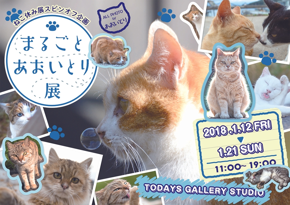 キービジュアル(横)