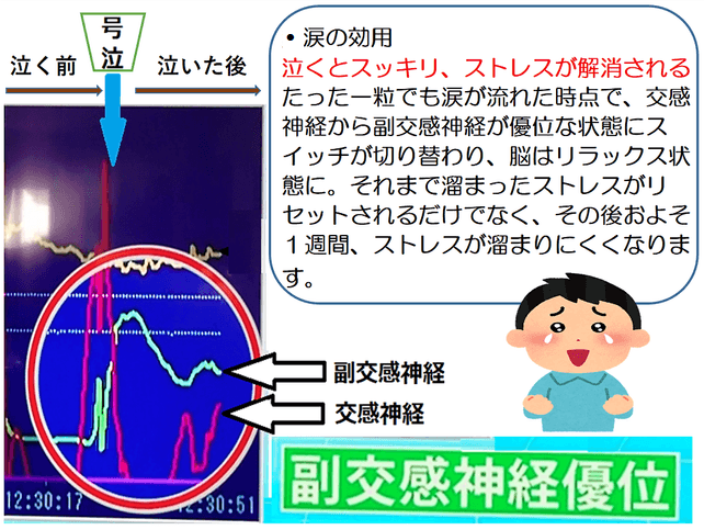 涙活で副交感神経が優位に（活発化）