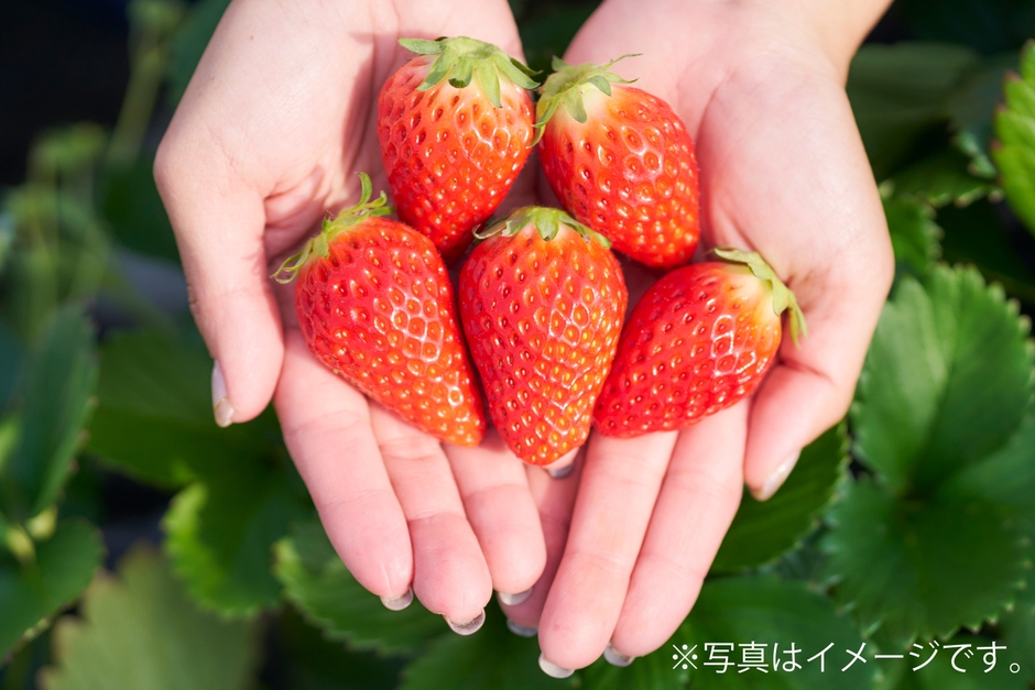 いちご盛り放題(3/21(土)のみ)