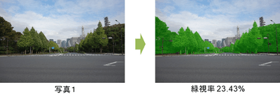 図1　緑視率：人の視野(写真で代替)に占める緑の割合