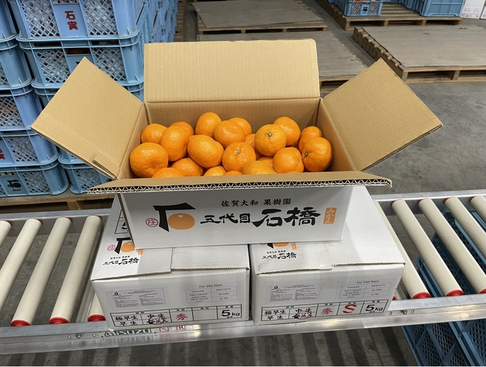 返礼品:温州みかん「蔵出し」