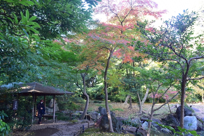 滝見茶屋