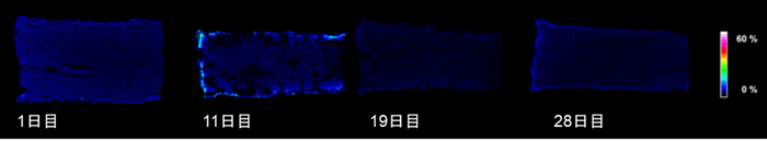 スタビライズ製法