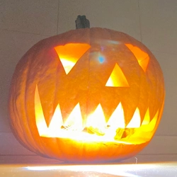 コロナ禍のおうち時間“ハロウィンかぼちゃ”で楽しもう！ 9月20日、「北海道旬直」で観賞用かぼちゃの予約注文を開始