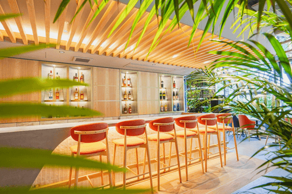 Areca Cafe & Bar