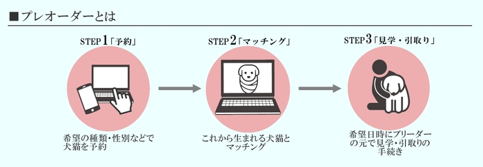 サービス内容