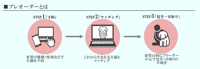 サービス内容