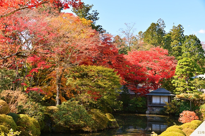 逍遥園(昼)