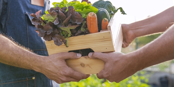 軒先マルシェ「マイファーマー」