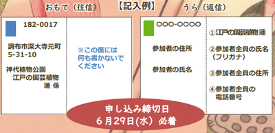 記入例