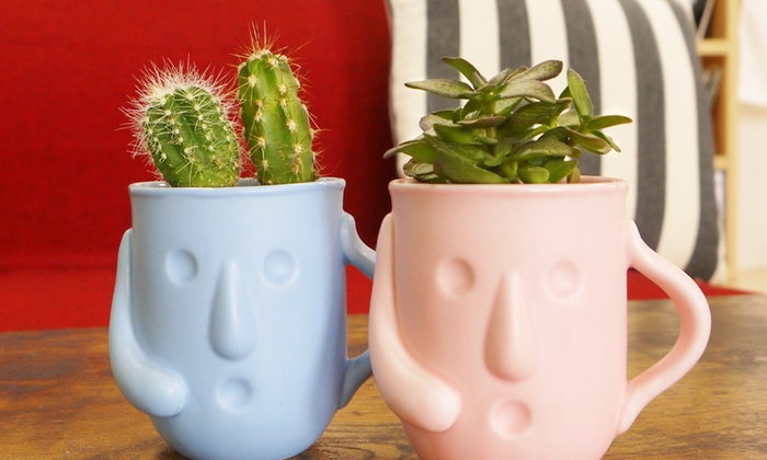 サボテン・多肉植物