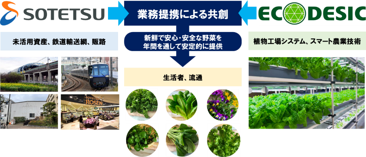 都市型地産地消植物工場の実証事業を開始【相鉄ホールディングス・エコデシック】